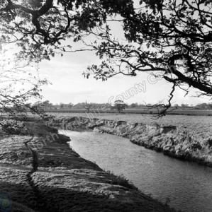 River Nidd near Cowthorpe